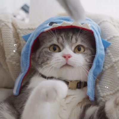 Santi Wijaya avatar